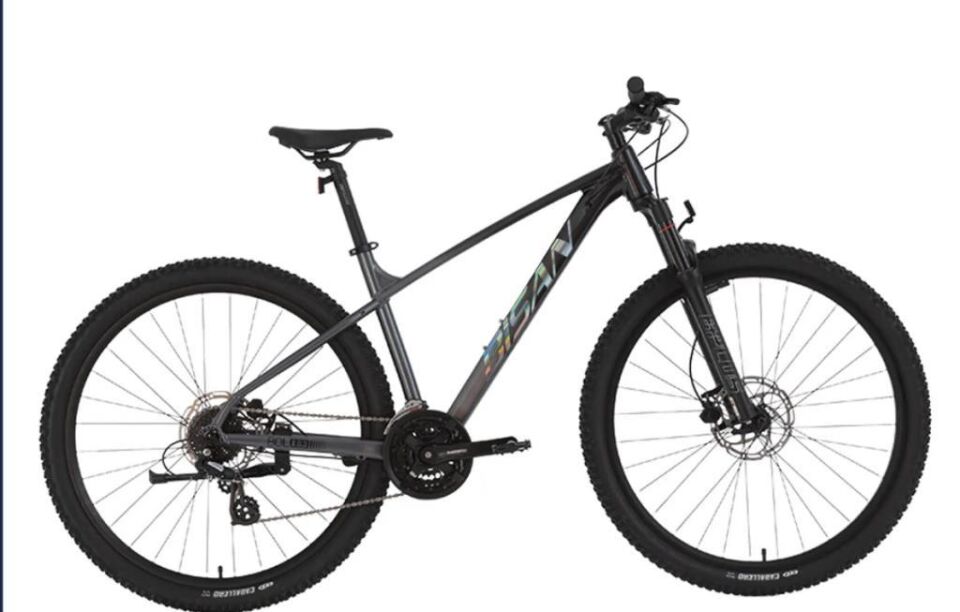 BİSAN BOLD 8.3 26 JANT HD FREN 24 VİTES DAĞ BİSİKLETİ 2026 SİYAH/GRİ