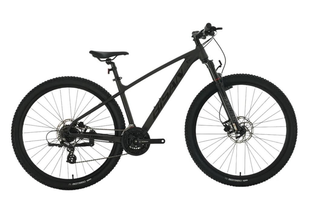 BİSAN BOLD 8.3 29 JANT HD FREN 24 VİTES DAĞ BİSİKLETİ 2026