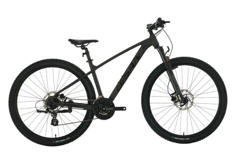 BİSAN BOLD 8.3 29 JANT HD FREN 24 VİTES DAĞ BİSİKLETİ 2026 SİYAH